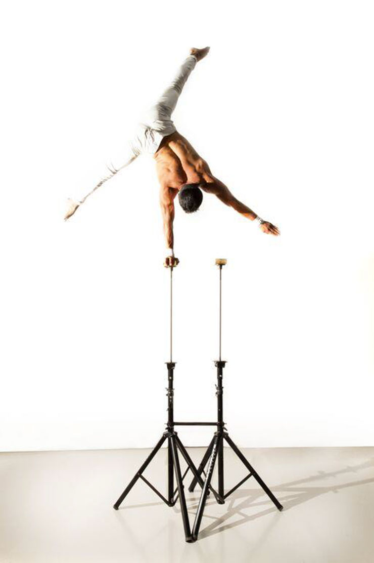 skills-circus-2-740